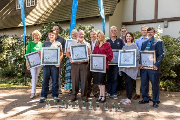 Owl Awards – 2016