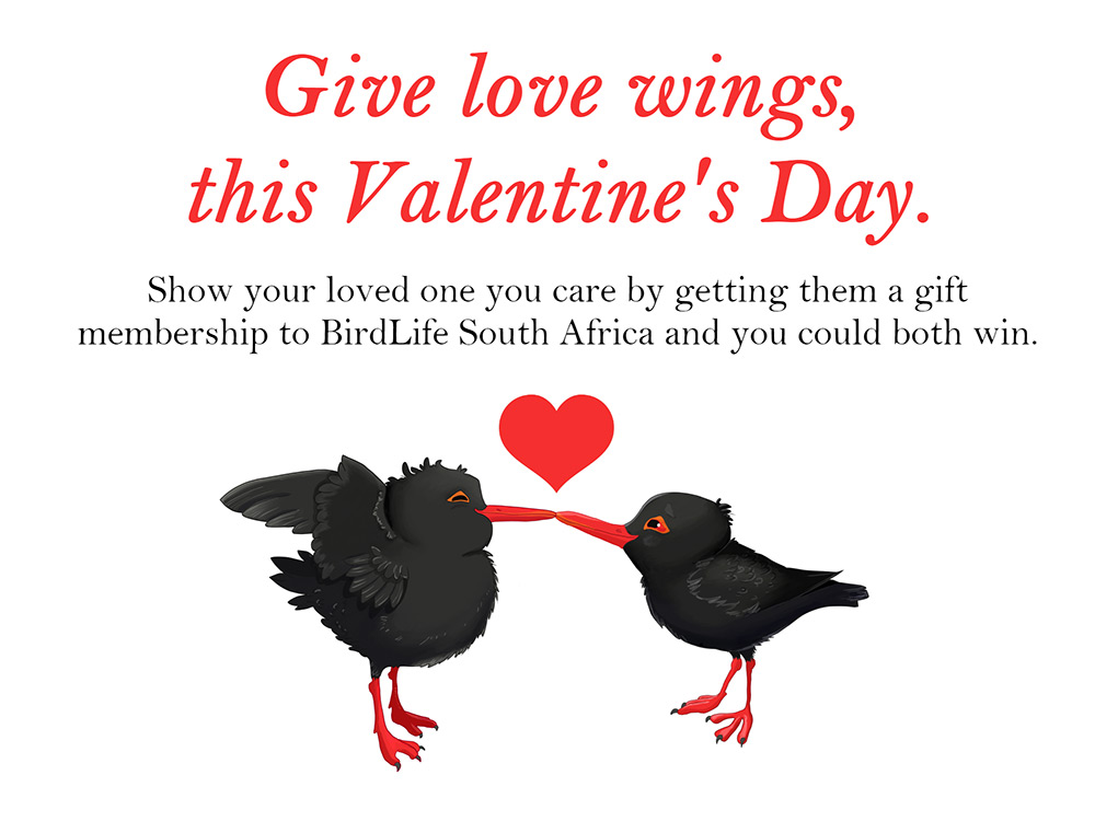 valentines_promo_2018