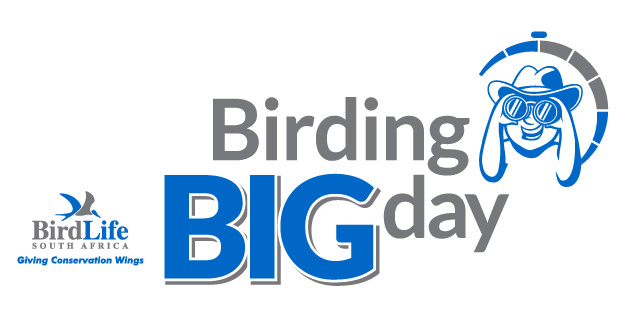 BBD BL Logo Med RGB