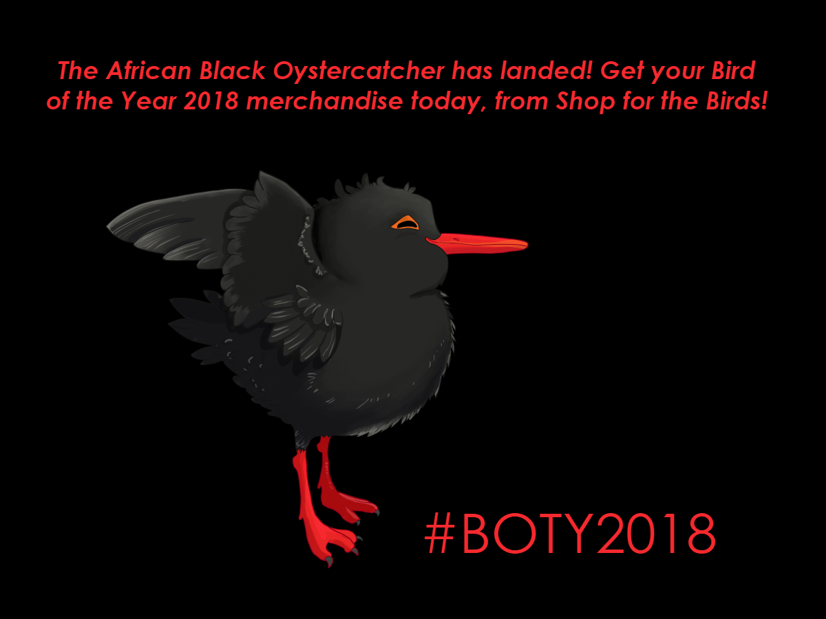 Bird of the Year 2.jpg