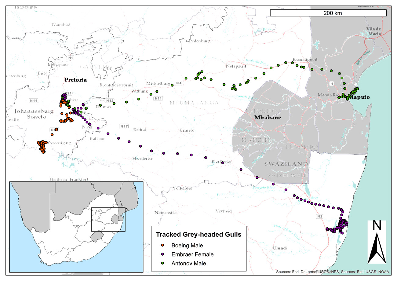 Map All GHG Movements Sept17