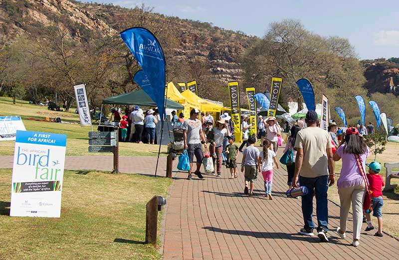 The African Bird Fair 5