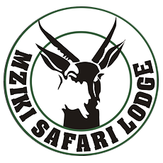 logo mziki