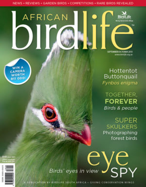 Front Cover low res Front Cover low res