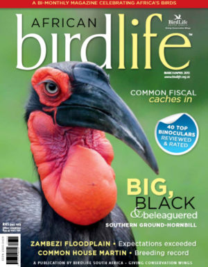 cover cover