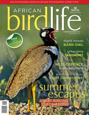 Cover-Nov-2014 Cover-Nov-2014