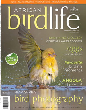 Cover2 Cover2