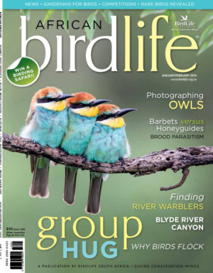 cover-2014-jan cover-2014-jan
