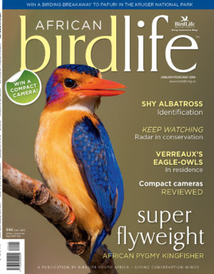 Front Cover (2) Front Cover (2)