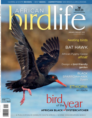 Front Cover FINAL3 Front Cover FINAL3