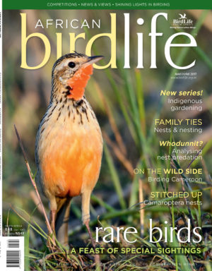 Front cover_1 Front cover_1