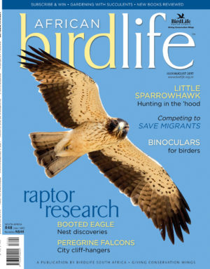July cover July cover