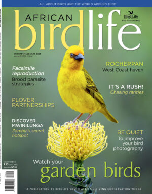 Jan-2021-Cover Jan-2021-Cover