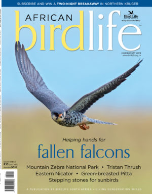 July-2019-Cover July-2019-Cover