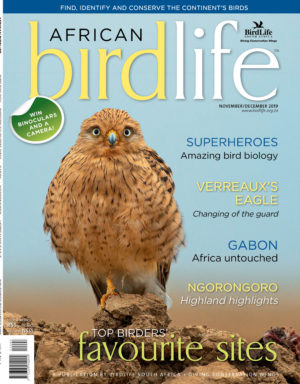 Nov 2019 Cover2 Nov 2019 Cover2