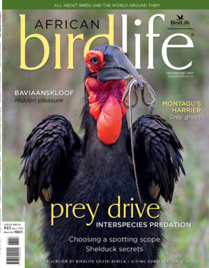 Front-Cover (1) Front-Cover (1)