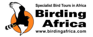 birding africa logo