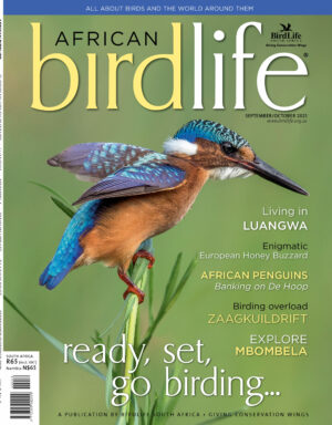 Sept 201 Cover Sept 201 Cover