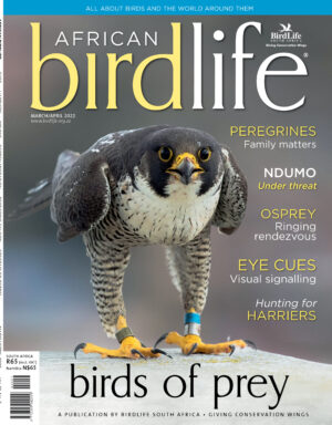 Cover Cover