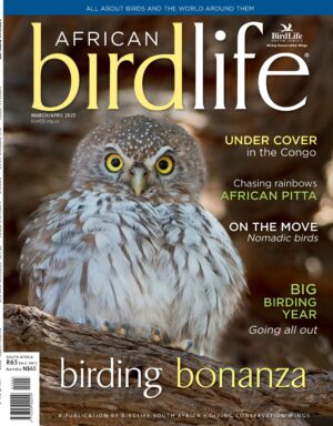 BirdLife South Africa African Birdlife Cover March:April 2023 BirdLife South Africa African Birdlife Cover March:April 2023