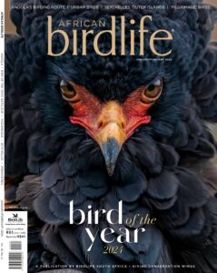 BirdLife South Africa African Birdlife magazine Cover Jan Feb 2023