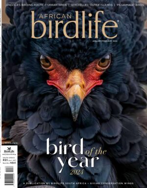 BirdLife South Africa African Birdlife magazine Cover Jan Feb 2023 BirdLife South Africa African Birdlife magazine Cover Jan Feb 2023