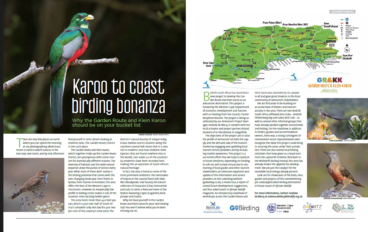 Advertorial 1