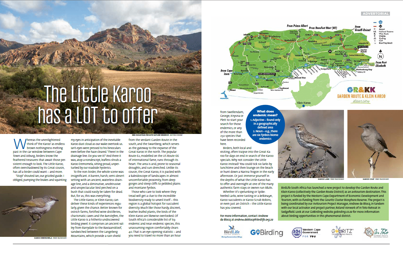 Advertorial 2