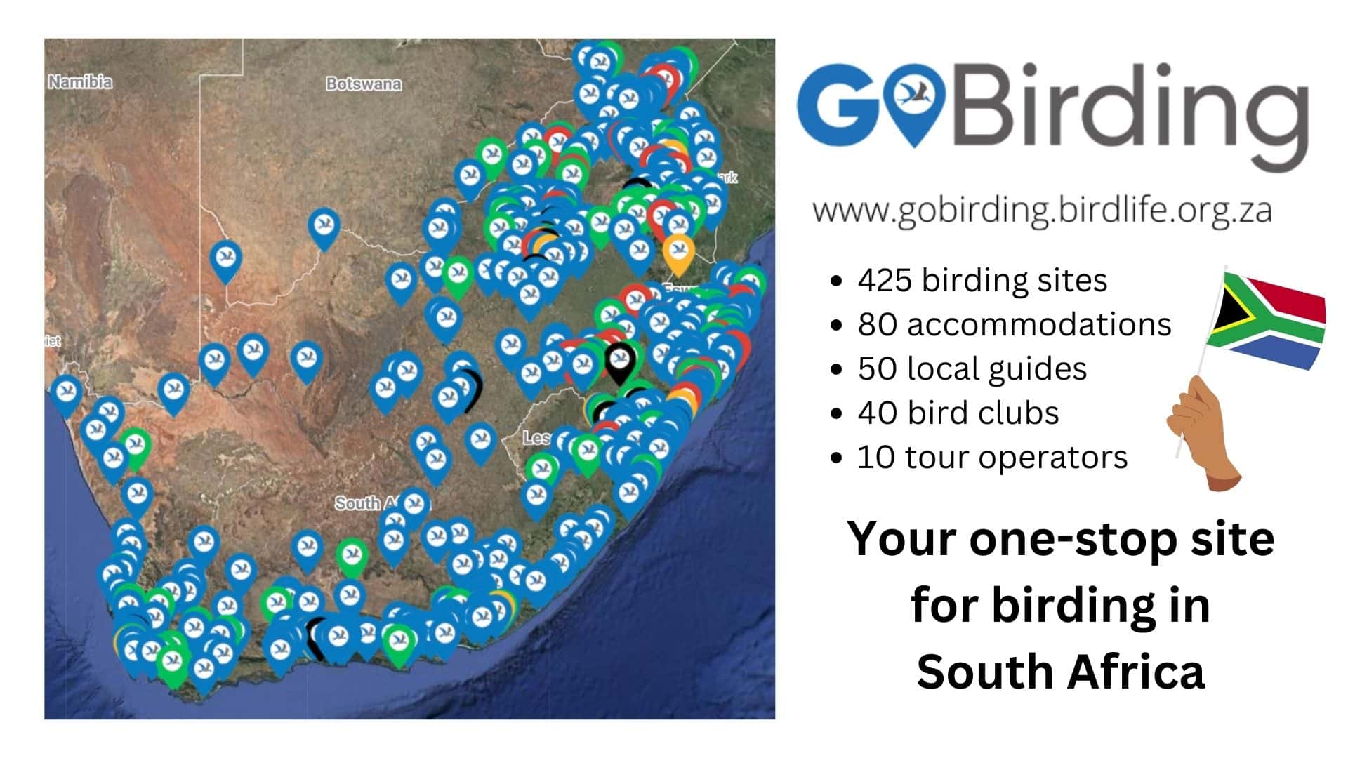 GoBirding Promo