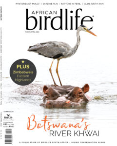 African Birdlife magazine cover_March 2024