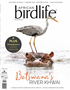 African Birdlife magazine cover_March 2024 African Birdlife magazine cover_March 2024