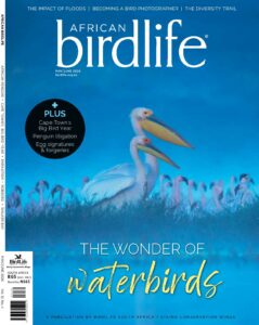 African Birdlife Magazine MayJune2024 Cover