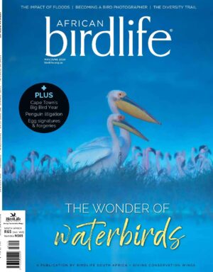 African Birdlife Magazine MayJune2024 Cover African Birdlife Magazine MayJune2024 Cover