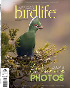 Cover-Nov-2024