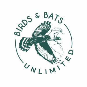 BBU logo -green