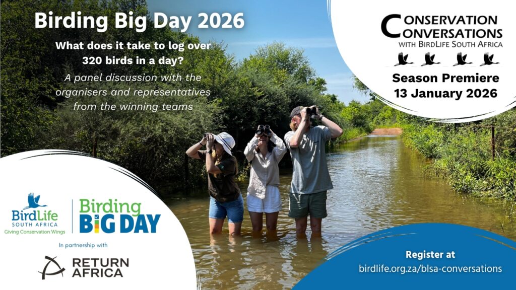 Conservation Conversations Birding Big Day 13 January