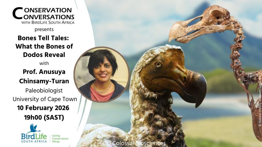Prof. Anusuya Chinsamy-Turan