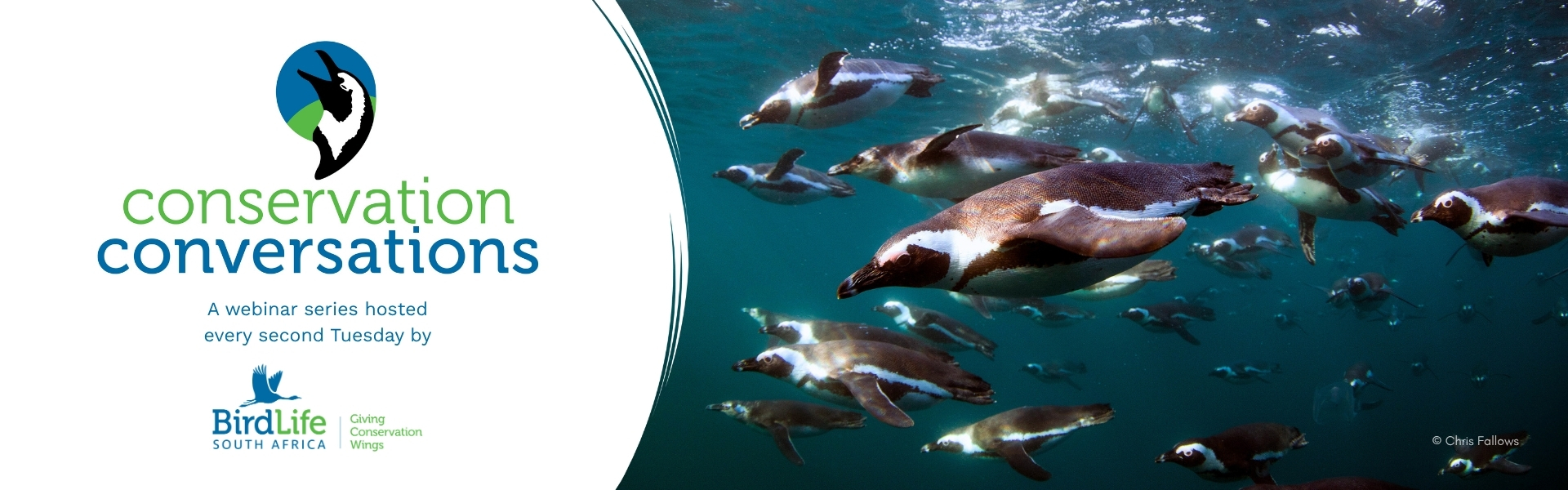 Conservation Conversations webpage banner