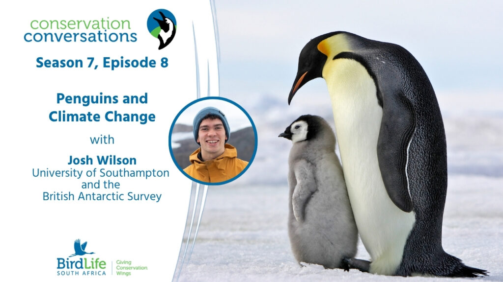 Penguins and Climate Change