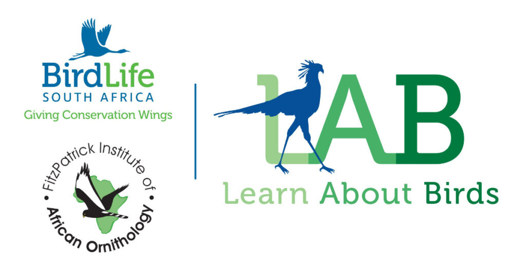 BirdLife South Africa x LAB logo
