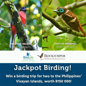 Jackpot Birding! 800x800 banner