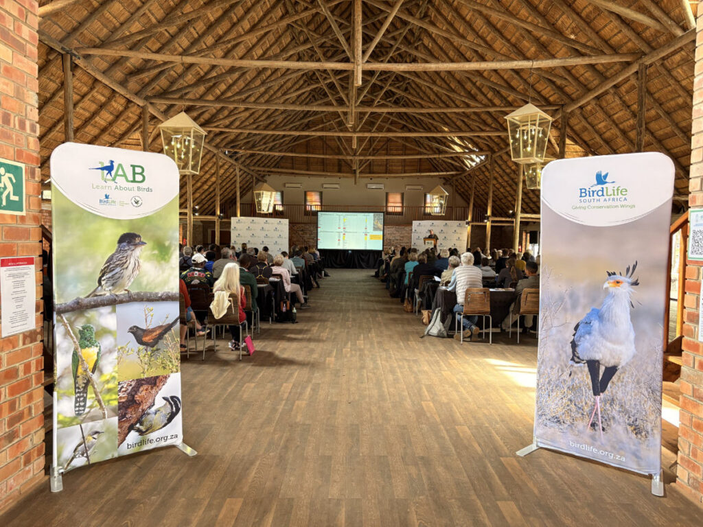 Ndlovu Hall, Bonamanzi LAB 2026